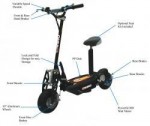 E Scooter Fun Stor 2011